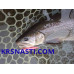 Воблер Daiwa Presso Double Clutch 60SS длина 60мм 3,8гр